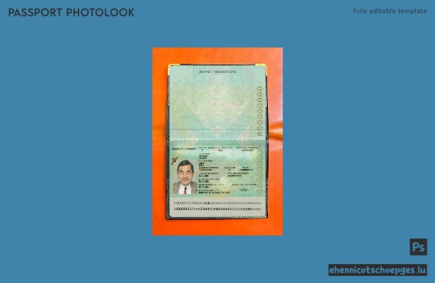 Beispielansicht für das Passfoto in Kasachstan (2009–heute)